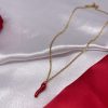 Cadena de amuleto cuerno rojo